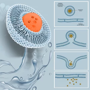 Tecnica Liposomiale Bandini Pharma
